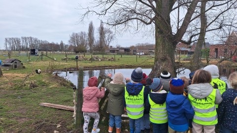 P-1KA-2KA: Op bezoek bij de kippen en hanen van Elle-Marie haar opa